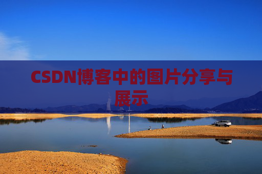 CSDN博客中的图片分享与展示